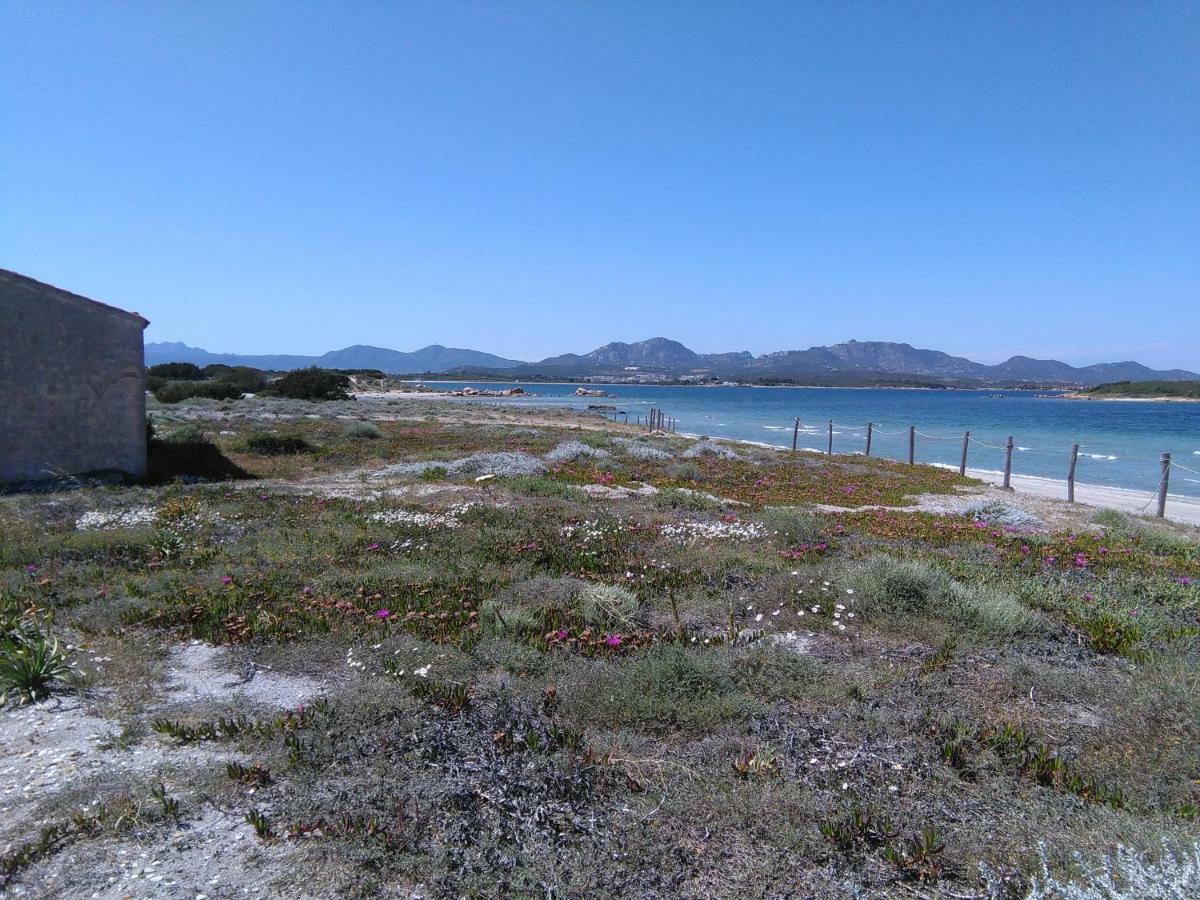 무르타마리아 Residenza Le Maree 아파트 외부 사진