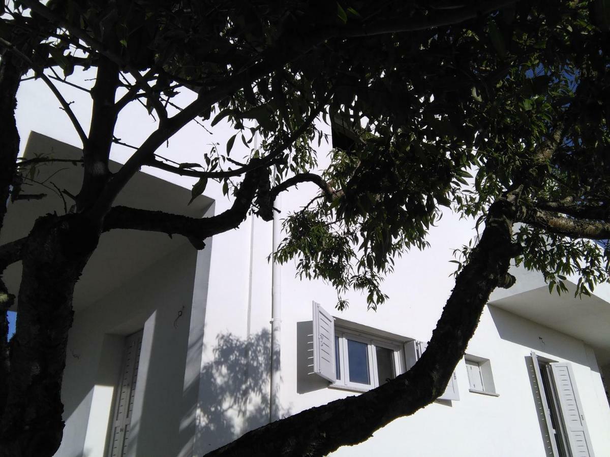 무르타마리아 Residenza Le Maree 아파트 외부 사진